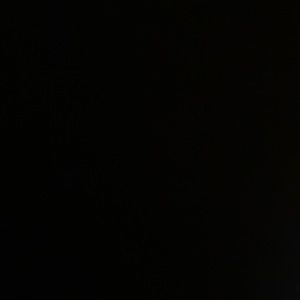 Meet your Posher, Dustin